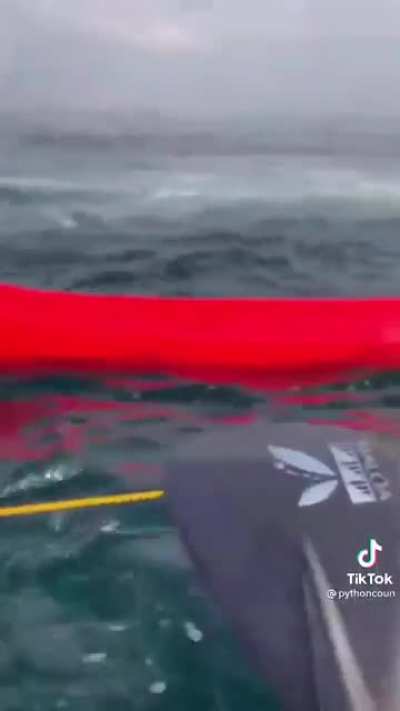Did not know Whale sounds had the potential to be this eerie