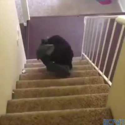 i get up