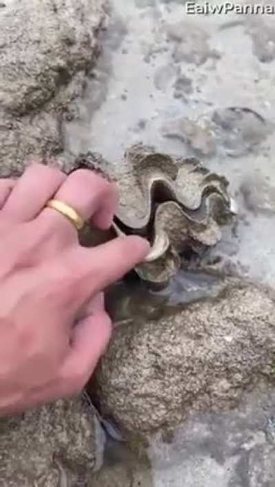 Watch your finger.