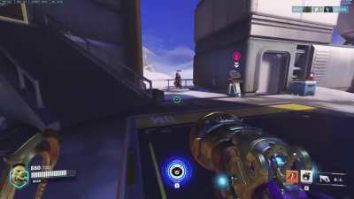 Hog New One Shot??