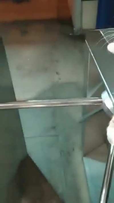 fReELOAder CAuGht reD hANdEd BY PuBlic TRAnSPorT OffICer