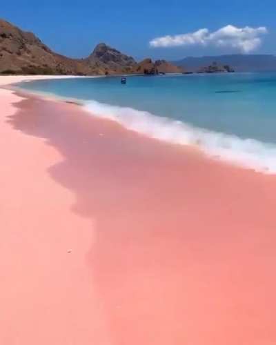 Vapor Beach - Indonesia 🌴🏖️