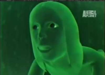 me irl
