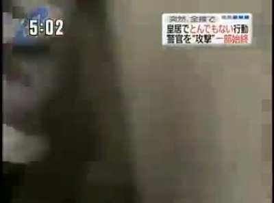 Tiger Shark appears in Tokyo