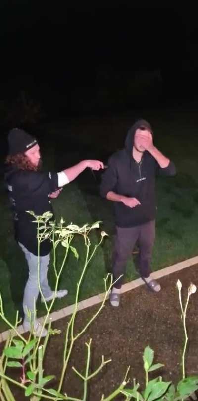 Drunken taser fun