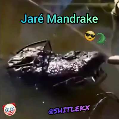 Jar&eacute; Mandrake