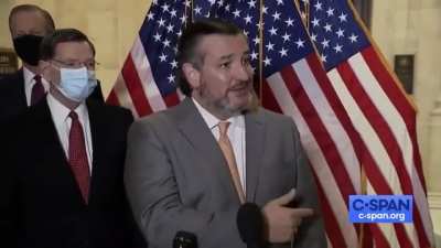 Ted Cuz' based response to reporter who demands he wear a mask