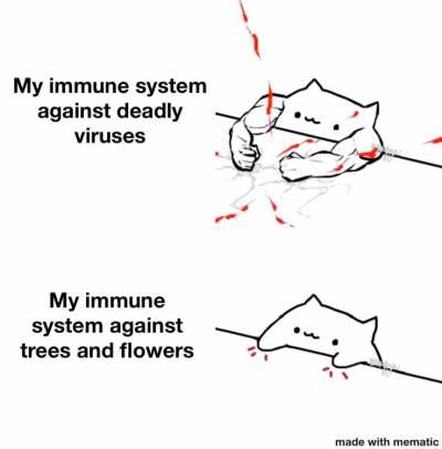 Me irl