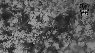The Ukrainian "Black Swan" Strike Group of the 255th Assault Battalion defends the Chasiv Yar area against another Russian assault during the night.