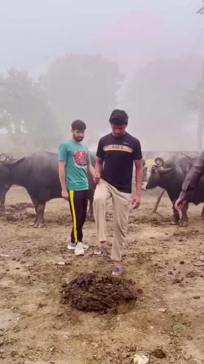 Maybe Maybe Maybe