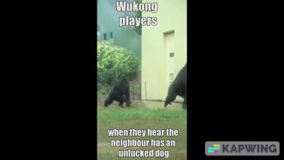 Return to monke