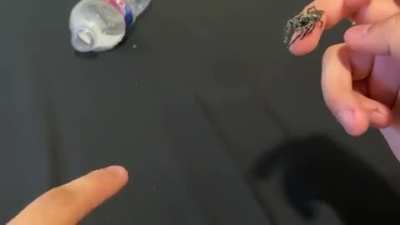 Decent jump from my boi spoink.