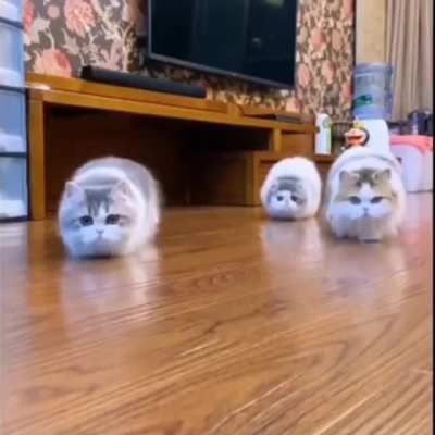 The little guy on the left is charging up