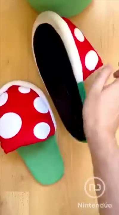 🍄🍄