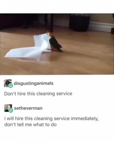 We all should