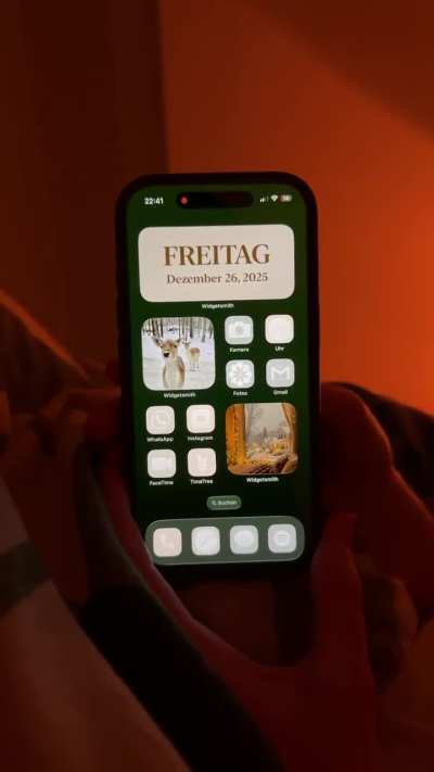 iPhone 17 Pro glitching display issue