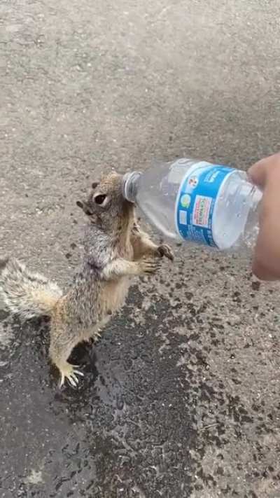 Воды!