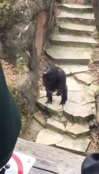 🙉🙈😋