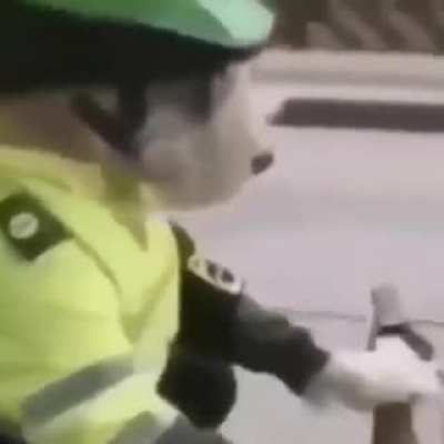 D una