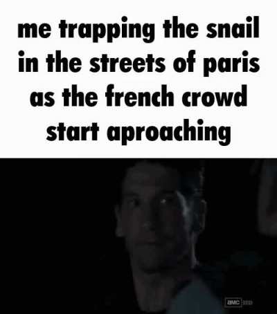 snail