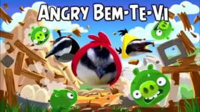 Isso &eacute; arte