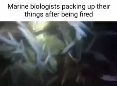 Biology 