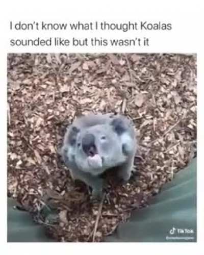 Never thought they sound like that