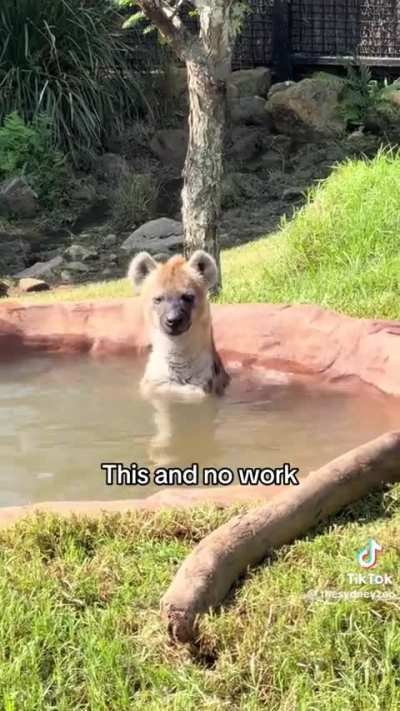 yeen_irl