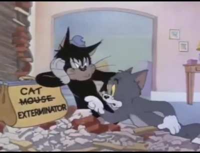 C...A...T....cat.