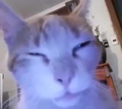 eepy wunker