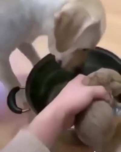 :(