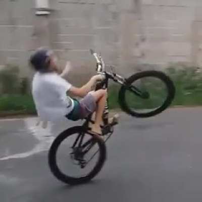 Wheelie