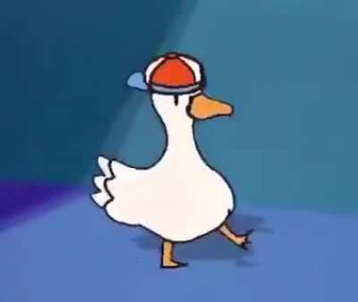 😎🦆😎