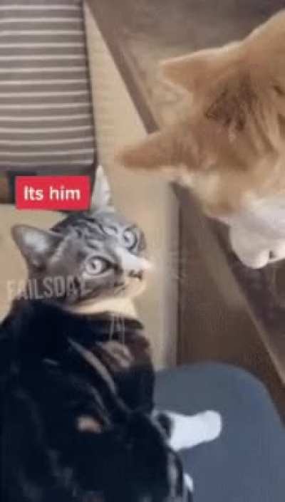 its him