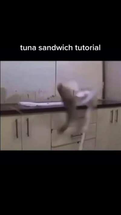 Tuna Sandwich tutorial