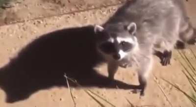 Ohh no !! They caught us .