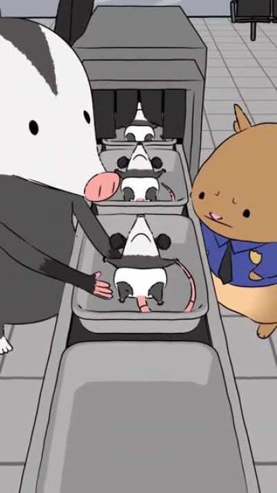 Airport security
