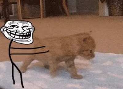 Troll Rule