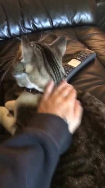 the face he makes when he&rsquo;s about to attack