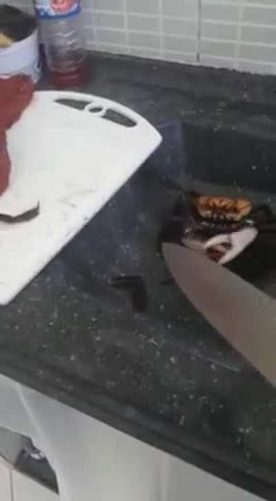 Man vs Crab