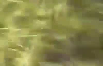 Military training with an RPG-7 goes wrong