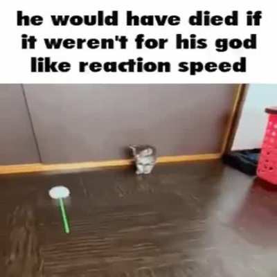rule
