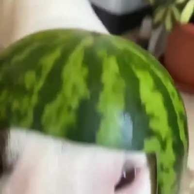 Cocodoggo