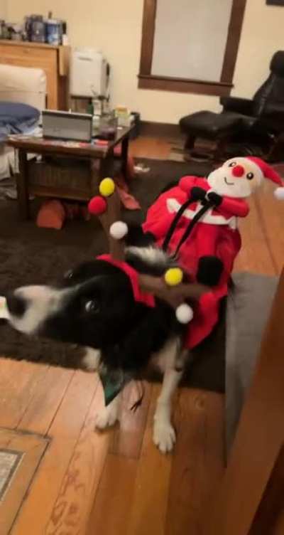 &ldquo;Dad can I take it off yet?&rdquo;