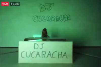CHEEE TEMAZO QUE ME PINCH&Oacute; PANA VICTOR NASHEEEE