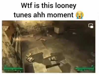 momento looney tunes