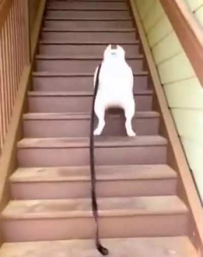 Let&rsquo;s get this day started
