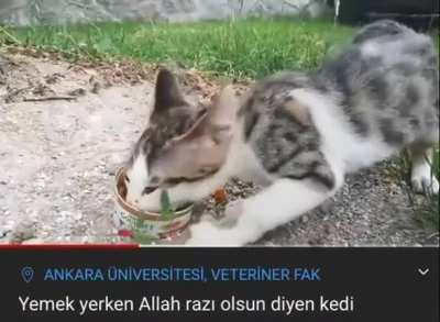 الله الله الله الله