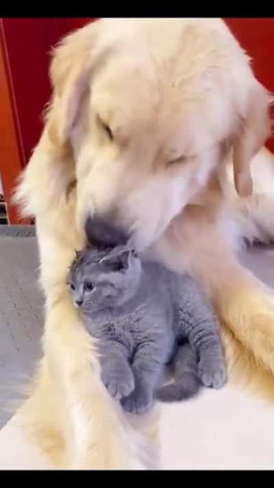 Cuteness Overload!