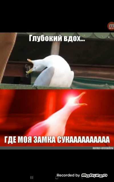 СУКАААААААА [Warning: High-Pitched]